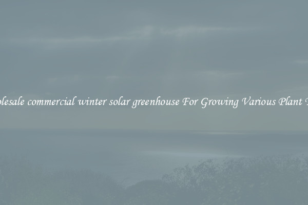 Wholesale commercial winter solar greenhouse For Growing Various Plant Types