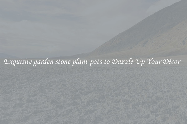 Exquisite garden stone plant pots to Dazzle Up Your Décor  