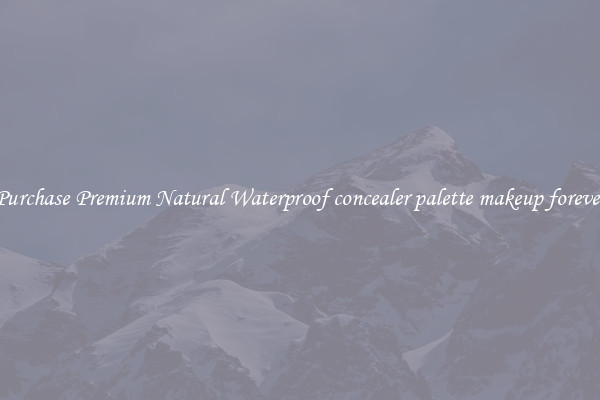 Purchase Premium Natural Waterproof concealer palette makeup forever