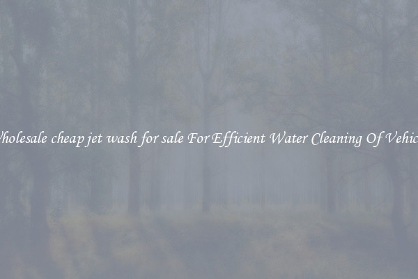 Wholesale cheap jet wash for sale For Efficient Water Cleaning Of Vehicles