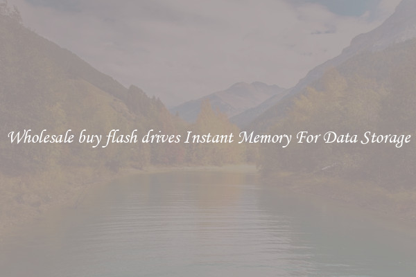 Wholesale buy flash drives Instant Memory For Data Storage