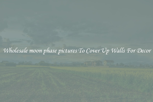Wholesale moon phase pictures To Cover Up Walls For Decor