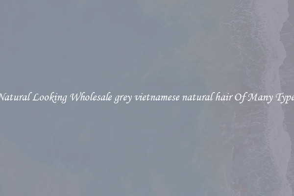 Natural Looking Wholesale grey vietnamese natural hair Of Many Types