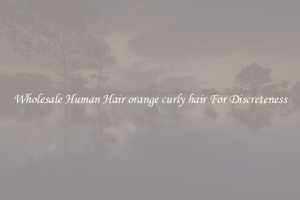 Wholesale Human Hair orange curly hair For Discreteness
