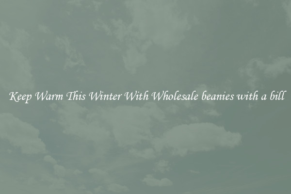 Keep Warm This Winter With Wholesale beanies with a bill