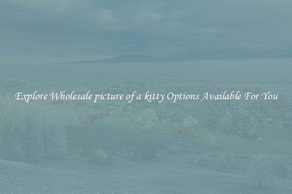 Explore Wholesale picture of a kitty Options Available For You