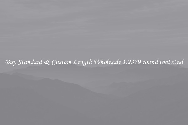 Buy Standard & Custom Length Wholesale 1.2379 round tool steel