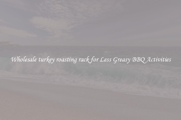 Wholesale turkey roasting rack for Less Greasy BBQ Activities