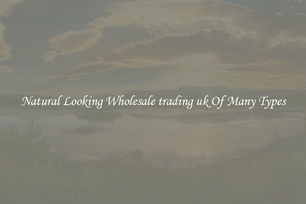 Natural Looking Wholesale trading uk Of Many Types