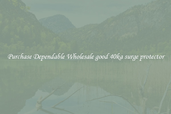 Purchase Dependable Wholesale good 40ka surge protector