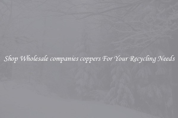 Shop Wholesale companies coppers For Your Recycling Needs