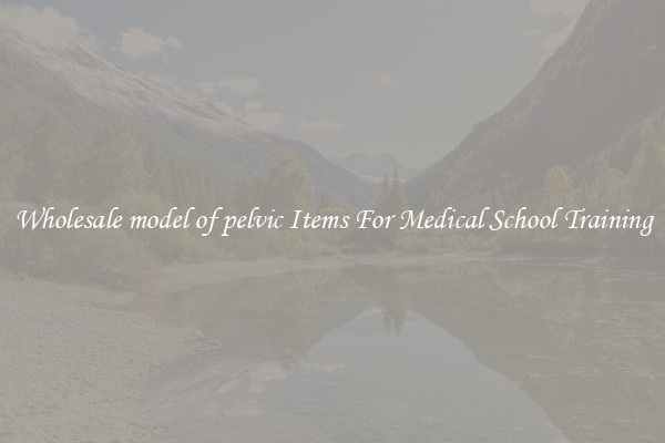 Wholesale model of pelvic Items For Medical School Training