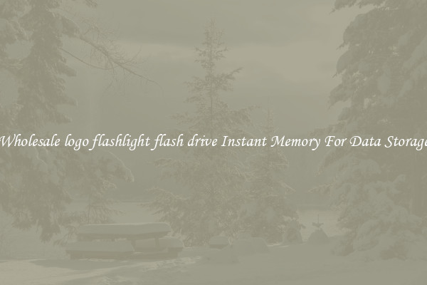Wholesale logo flashlight flash drive Instant Memory For Data Storage