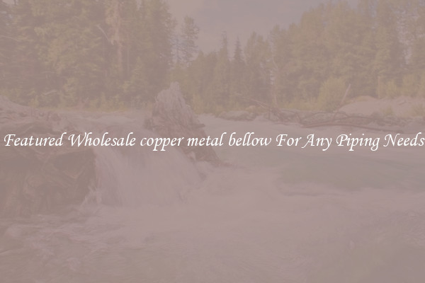 Featured Wholesale copper metal bellow For Any Piping Needs