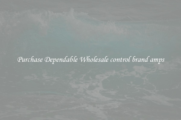 Purchase Dependable Wholesale control brand amps