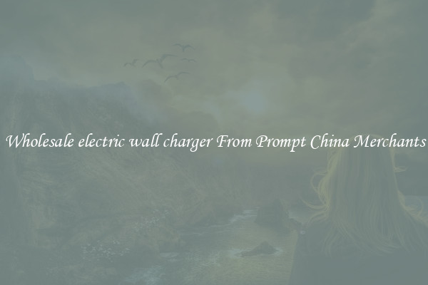 Wholesale electric wall charger From Prompt China Merchants