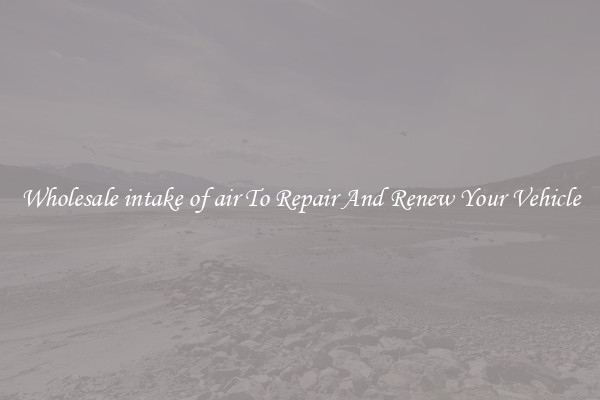 Wholesale intake of air To Repair And Renew Your Vehicle