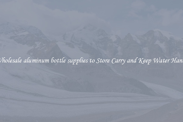Wholesale aluminum bottle supplies to Store Carry and Keep Water Handy
