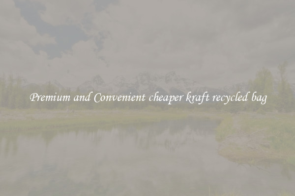 Premium and Convenient cheaper kraft recycled bag
